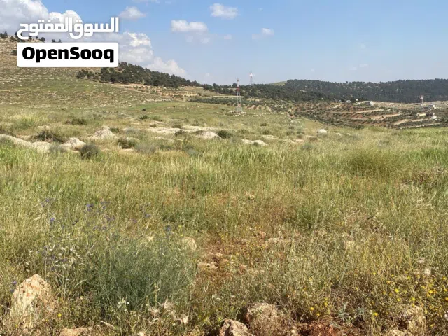 ارض في جرش للبيع من المالك مباشره