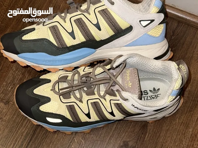 42 Sport Shoes in Um Al Quwain