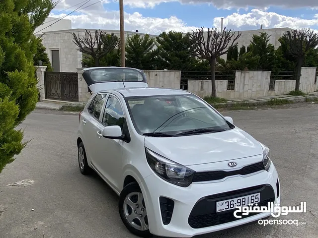 كيا بيكانتو 2019 ماتور 1250cc فحص كامل جمرك جديد