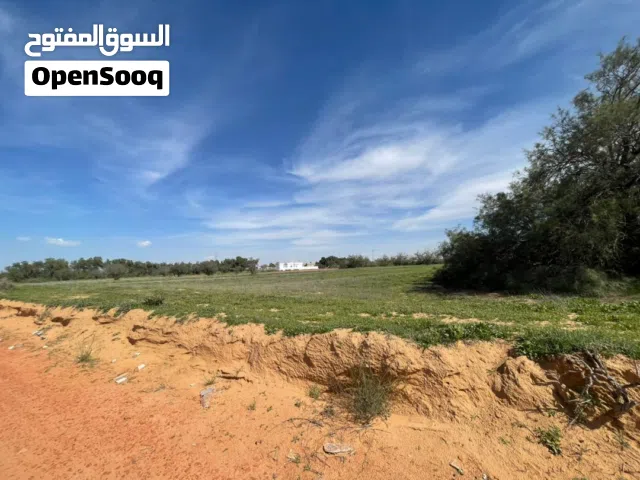 أحواز زراعية