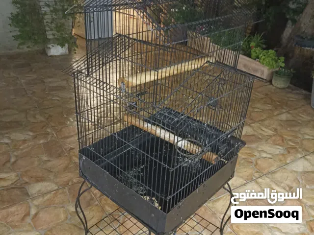 قفص ببغاء للبيع