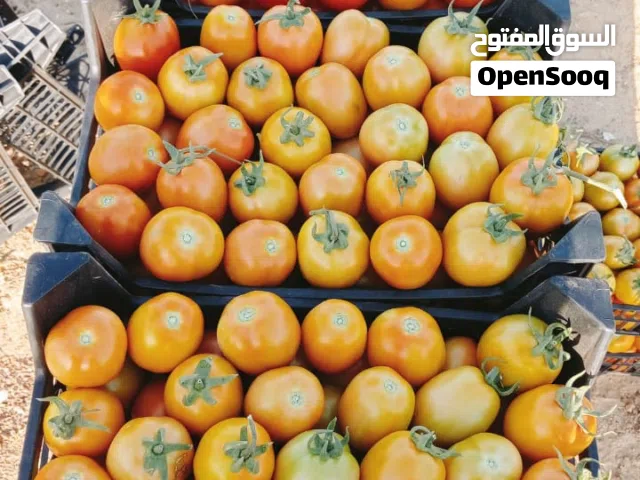 تصدير خضار وفاكهه من مصر الى اي دوله