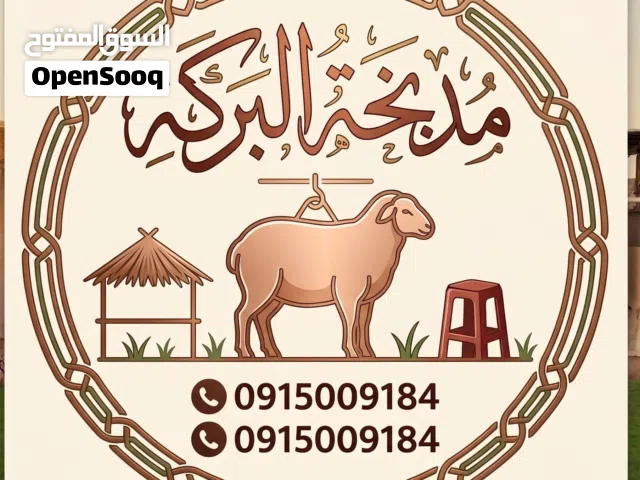 مذبحة البركة