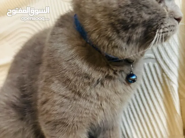 1000درهم و يحب يلعب