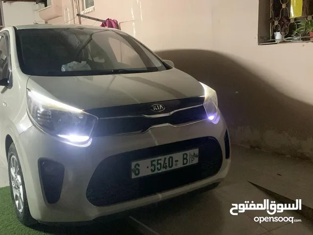 New Kia Picanto in Tulkarm