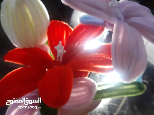 ورد أشغال  يدويه