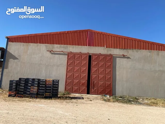 هناقر للإيجار في الطلحية تخزين