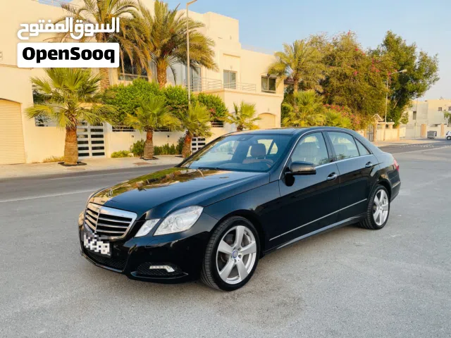 2010 Mercedes Benz E-Class E 300