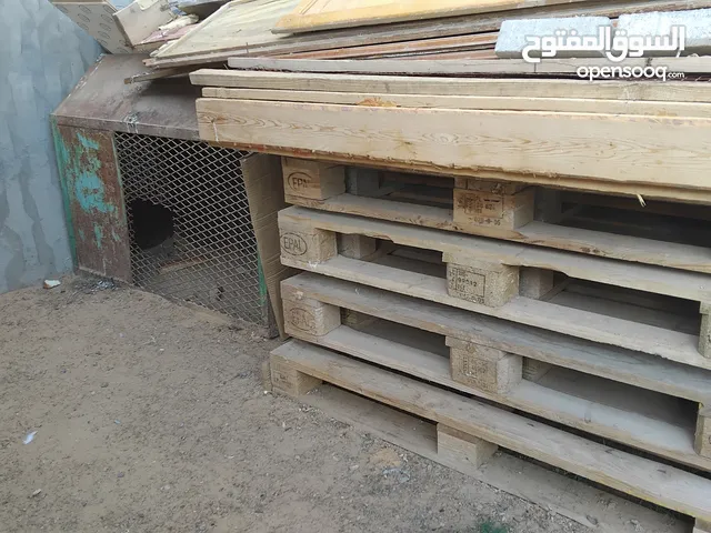 8 طروف بدانه للبيع