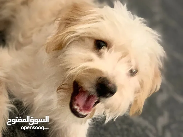 السلام عليكم ورحمة الله وبركاته
