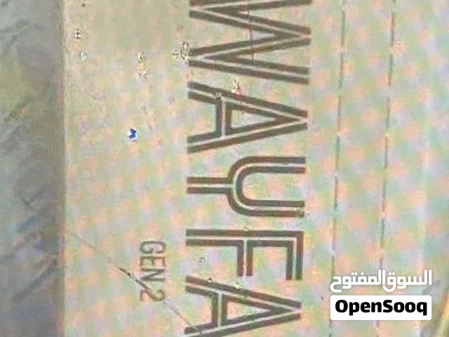 نظاره ريبان اصليه وجديده