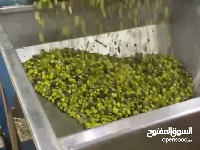 زيت زيتون بلدي بعل رومي زيتون اخضر وأسود عصير عل بارد مكفول ومضمون لاخر قطره