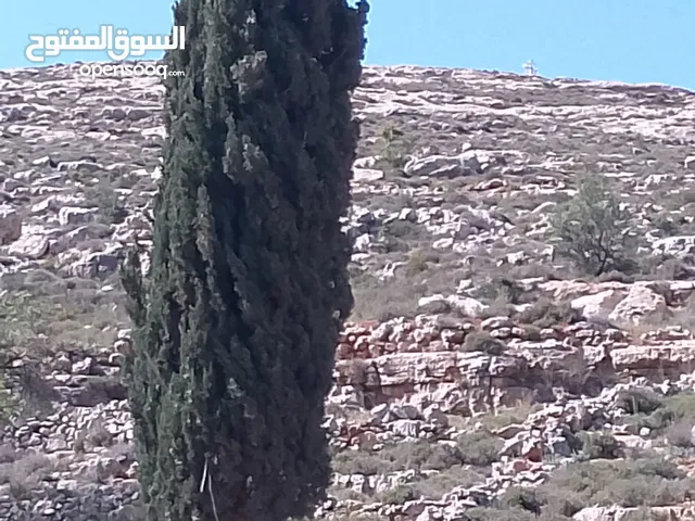 قطعة ارض للبيع