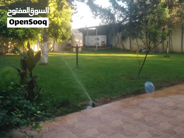 شقة للايجار في زاوية الدهماني