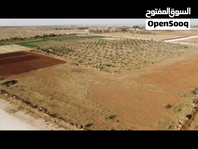10 هكتار الطلحيه شارع الغاز