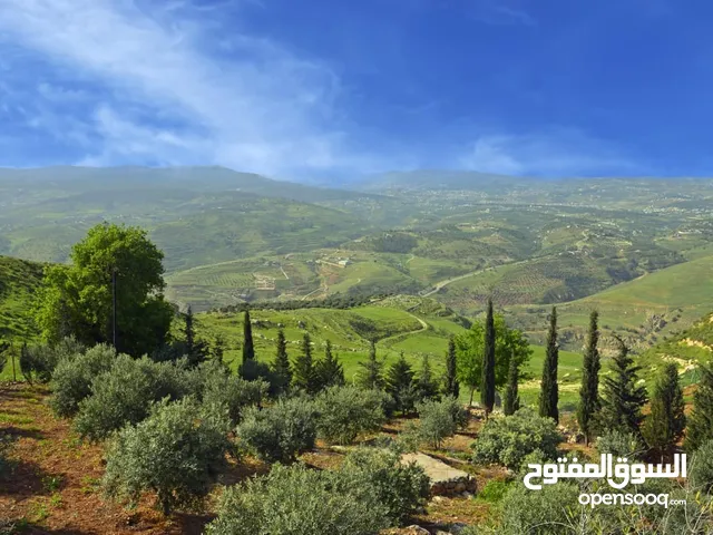 5 Bedrooms Farms for Sale in Jerash Al-Mastaba