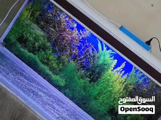 متاح للبيع حوض اسماك خارجي