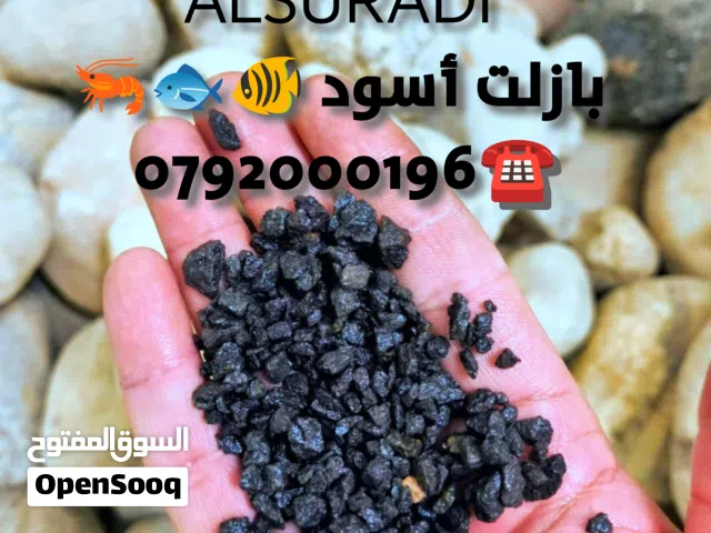 كوارتز رمل سيلكا حجر بركاني بازلت كسر رخام تجهيز احواض سمك دراجون مخرم صخور وارضيات احواض السمك