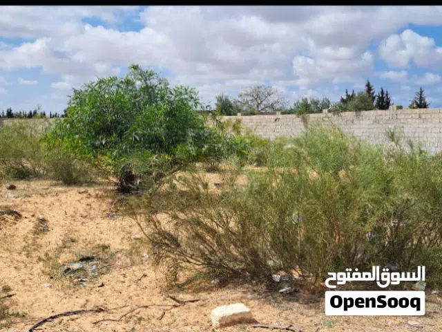 قطعة ارض في القويعه
