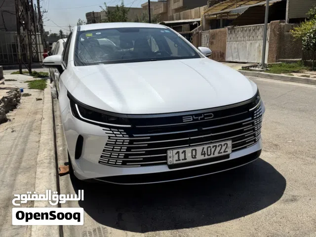 2025 بي واي دي ديستروير
