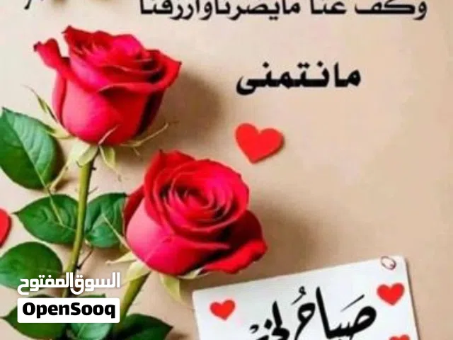 ارض للبيع واجهه 5 نزال 30 حي الجامعه