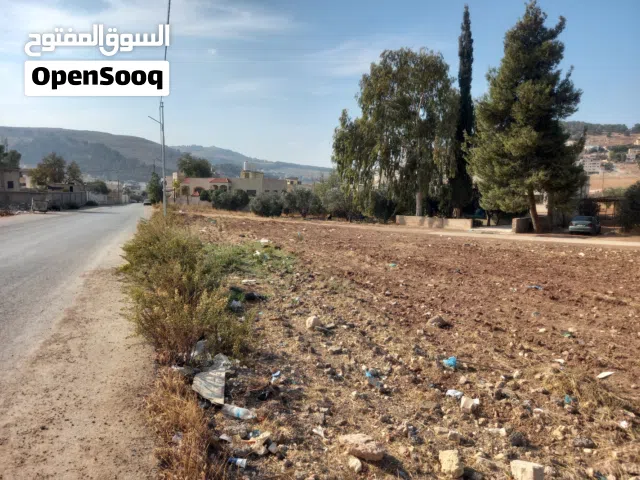 السلط بطنا اول يرقا دونم بسعر مميز