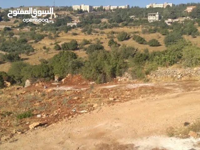 130 m2 4 Bedrooms Apartments for Rent in Ajloun Other
