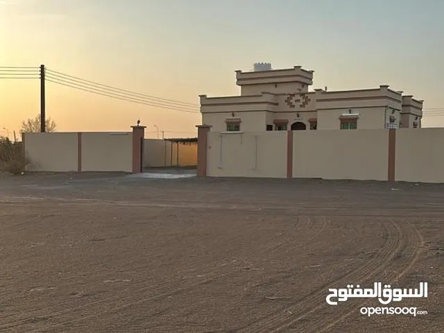 Farm Land for Sale in Buraimi Al Sinainah