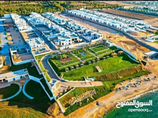 2 Bedrooms Farms for Sale in Qasr Al-Akhiar Other