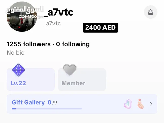 TikTok account level 22