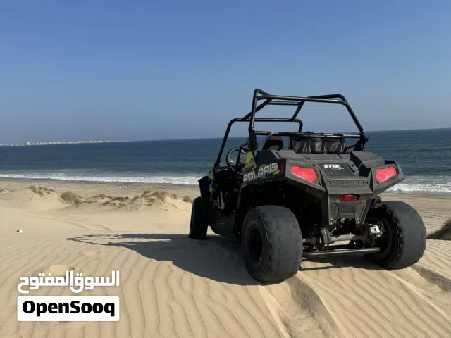 Polaris rzr 170