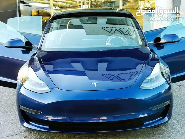 Used Tesla Model 3 in Salt