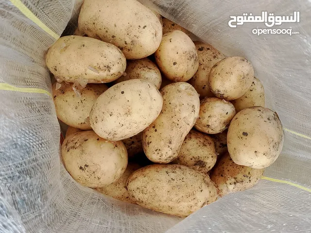 بطاطس باسعار وجودة مناسبة