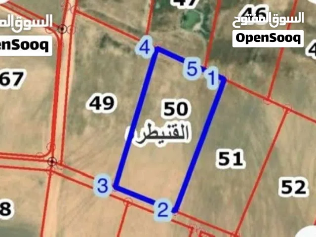 Farm Land for Sale in Amman Al-Quneitirah