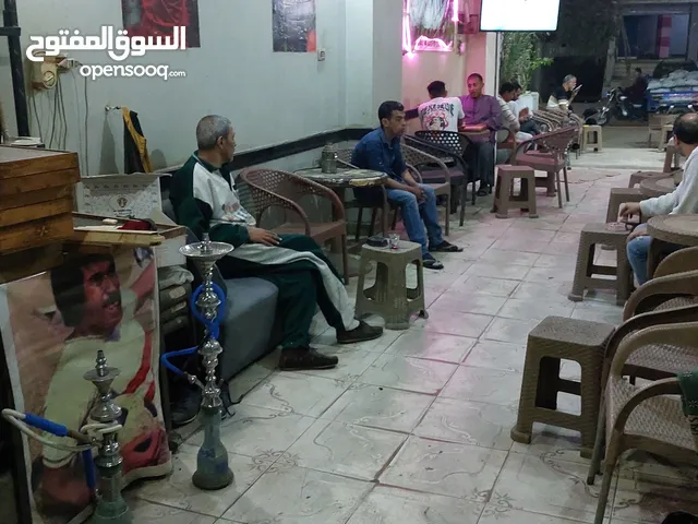 لقطه للإيجار كوفى شوب بدون معدات مساحته 120 متر للايجار قانون جديد بأرقى منطقه مدي