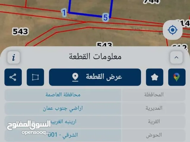 Farm Land for Sale in Amman Areinba Al Gharbiyah