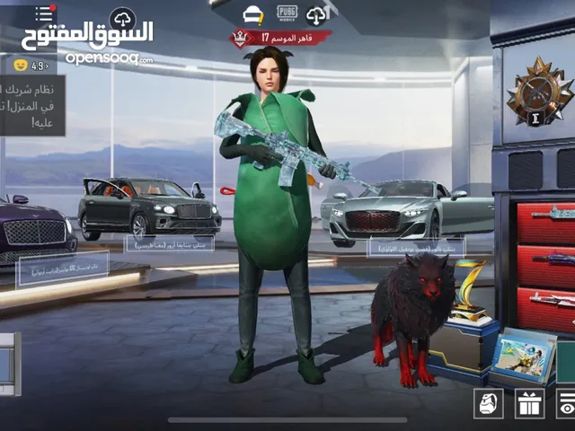 Pubg Accounts and Characters for Sale in Basra