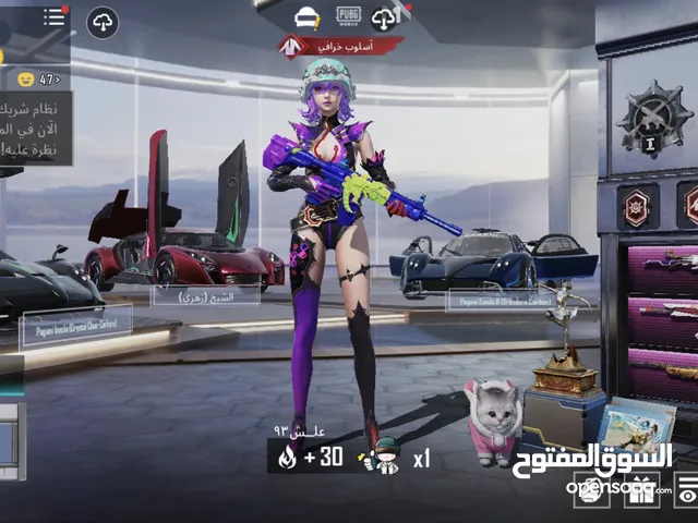 Pubg Accounts and Characters for Sale in Sharjah