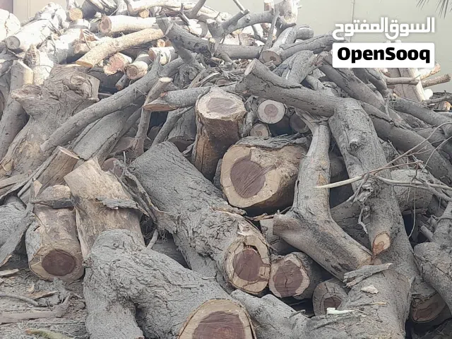 حطب احجام مختلفه للمشوي وغيره