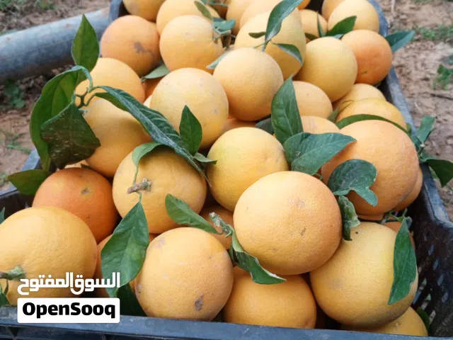 مطلوب شراك برتقال