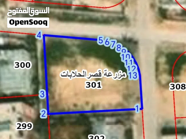 Residential Land for Sale in Zarqa Qasr al-Hallabat Al-Sharqi