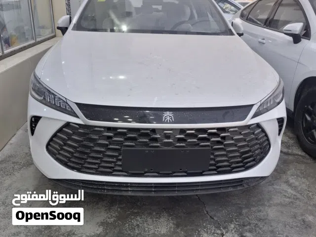 New BYD Other in Baghdad