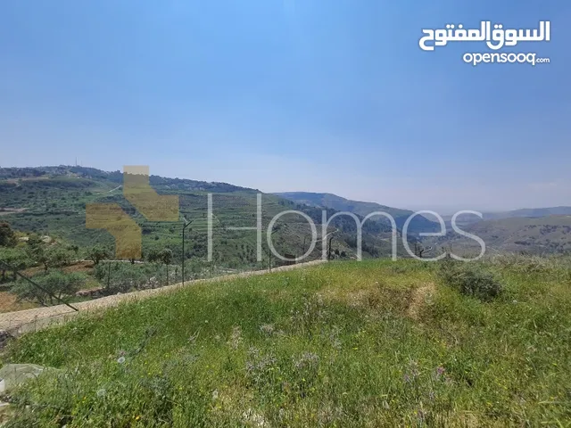 Residential Land for Sale in Amman Marj El Hamam