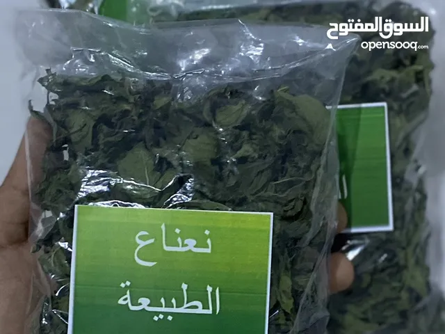 نعناع مجفف طبيعي 100% ملاحظه تجفيف منزلي وزراعه منزليه