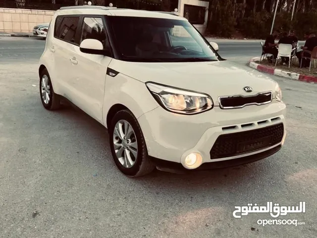 كايا سول مني جيب مرتفع وعزم جبار بسعر مناسب