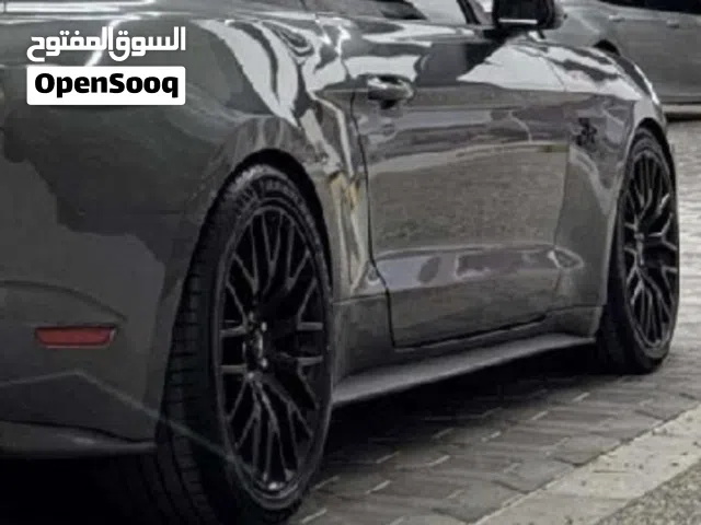 رنجات موستانج بروفورمنس قياس 19