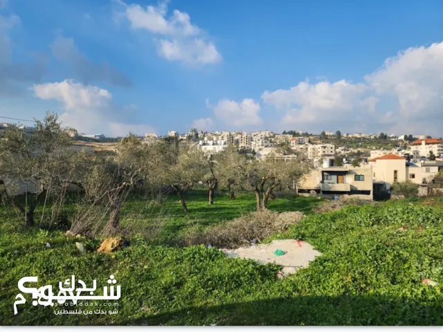 ارض للبيع اوللبديل في منطقه رام الله قرب القصر الثقافي قرب محمود درويش الأرض رامالله