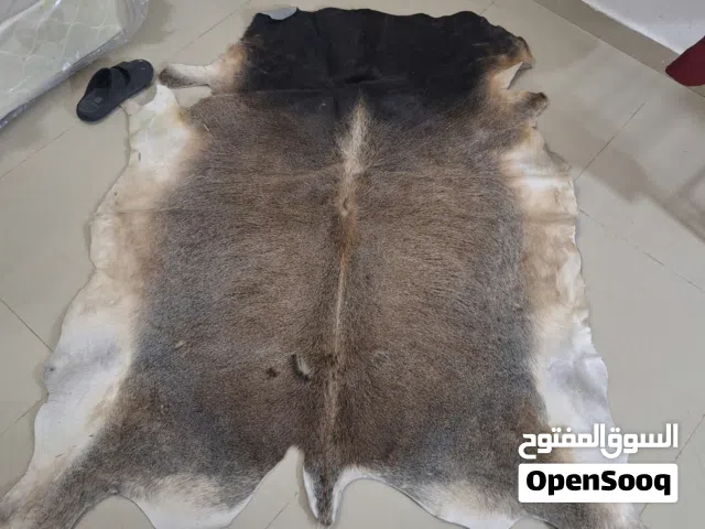 جلود ماعزو بقر