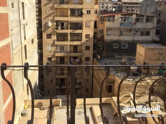 10000m2 3 Bedrooms Apartments for Rent in Alexandria Mandara