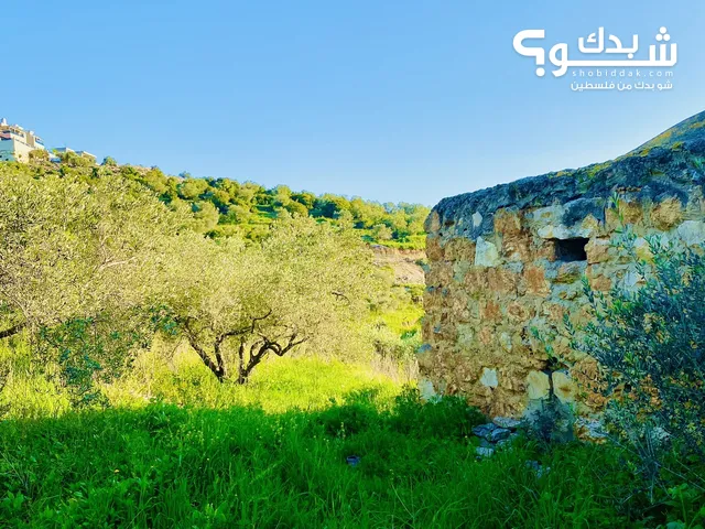 Mixed Use Land for Sale in Tulkarm Bal'a